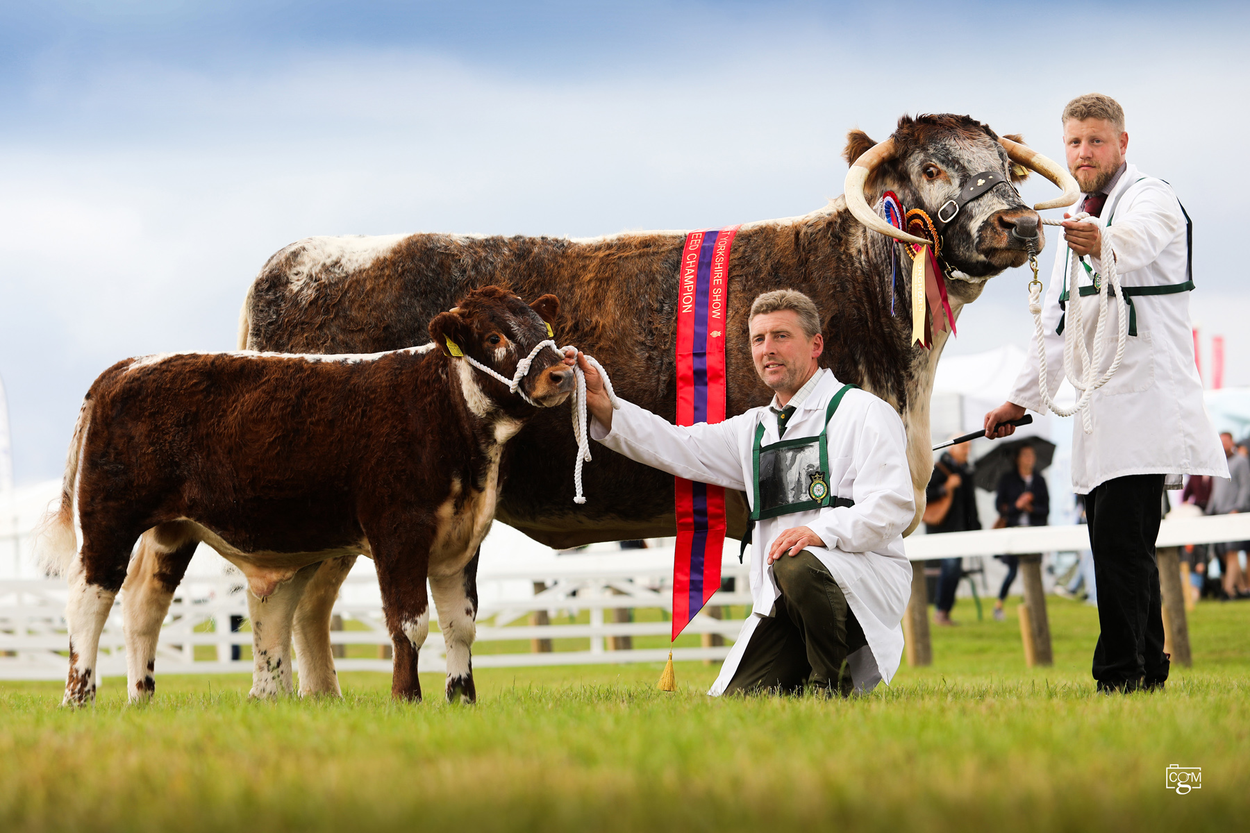 Blackbrook Bluebell, breed champion National Show (Gt Yorks) 2023